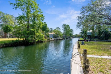 Luxury Meets Lifestyle - Immaculate Riverfront Retreat with 260