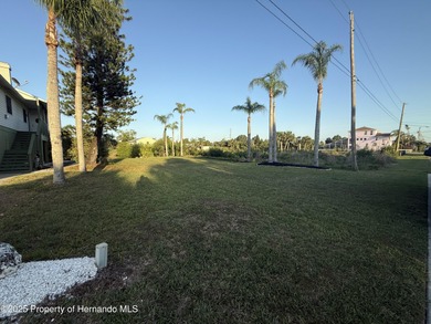 Price Improvement! Now is your chance to own this Hernando Beach