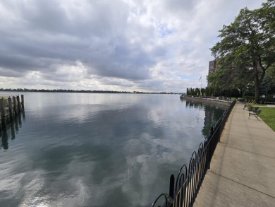 Incredible Downtown Detroit Diamond in the Rough! This 3 bedroom