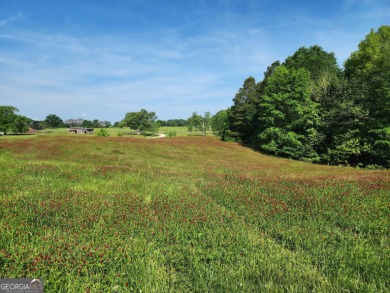 Nestled along the shores of Lake Oconee, this extraordinary