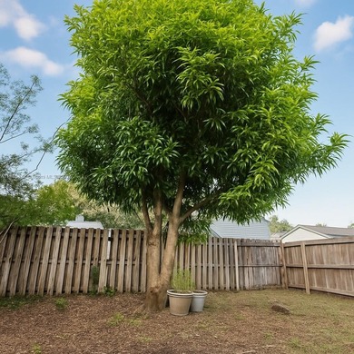 *Value Opportunity*  This 3-bedroom, 2-bath single-family home