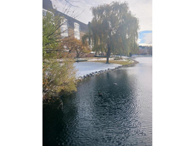 Bright Chateau unit with large rooms and beautiful lake views