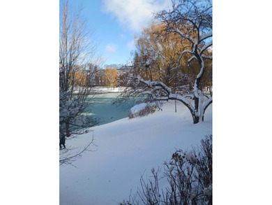 Bright Chateau unit with large rooms and beautiful lake views