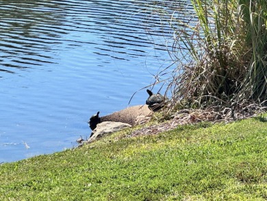 Welcome to 2416 Kendall Drive, a beautifully maintained Luxury