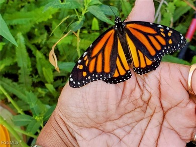 MOTIVATED SELLER Offering a 1 YEAR WARRANTY! Unique Gulf Access