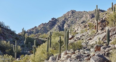 The Ascent at The Phoenician...where the highest of luxury