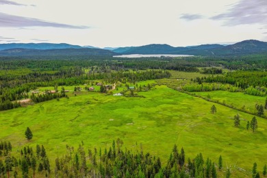 This is a legacy property, perhaps a once-in-a-lifetime