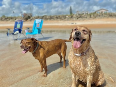 Located in between the Atlantic Ocean and the Intracoastal