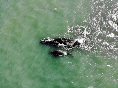 Located in between the Atlantic Ocean and the Intracoastal