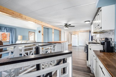 Welcome to 69617 Eisenhower Road, Sturgis, MI - a