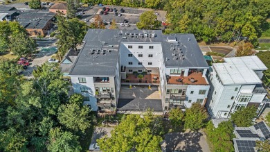 Experience the best of downtown Ann Arbor living in this nearly