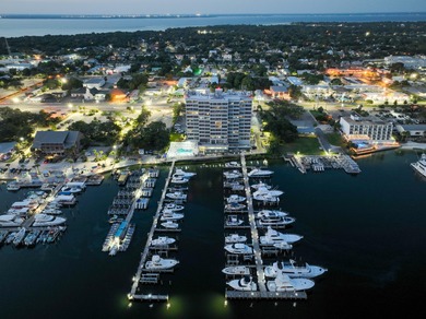 Spectacular Views and Boat Slips! Renovated 9th floor 3 bedroom