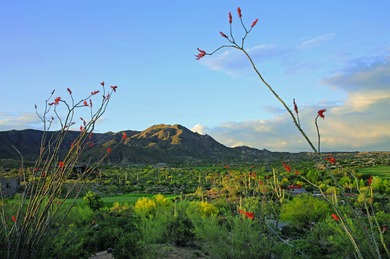 GOLF MEMBERSHIP available! lPrepare to be enchanted by this