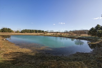 Stunning split colonial set on 10 peaceful acres with a