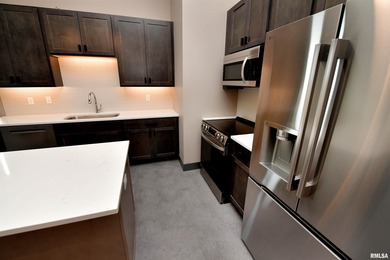 This impressive 2 bed/2 bath unit offers that historic warehouse