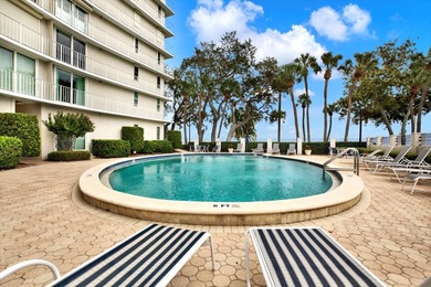 Welcome to The Bayshore Diplomat -- one of South Tampa's most