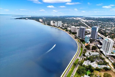 Welcome to The Bayshore Diplomat -- one of South Tampa's most