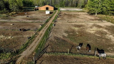 Exceptional Equestrian Property in Roaming Shores. This