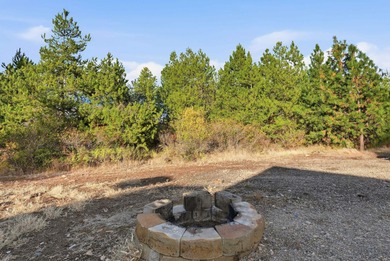 Tucked on nearly five acres in Chattaroy, this 2,800 sq ft home