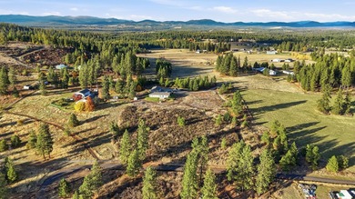 Tucked on nearly five acres in Chattaroy, this 2,800 sq ft home