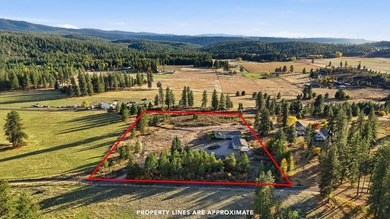 Tucked on nearly five acres in Chattaroy, this 2,800 sq ft home