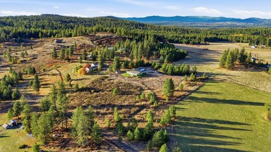 Tucked on nearly five acres in Chattaroy, this 2,800 sq ft home