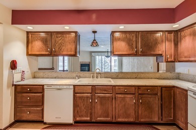 Beautiful North Shore Condo with Goguac Lake Views Experience