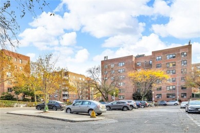 Enter and by in awe by the wall of windows at 3935 Blackstone