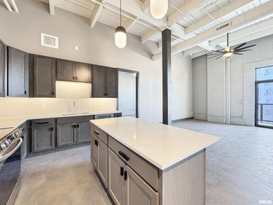 Welcome to urban luxury at its finest, set in Peoria's vibrant