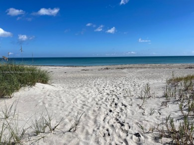 Fully renovated 3BD/3BA with ocean views! This spacious