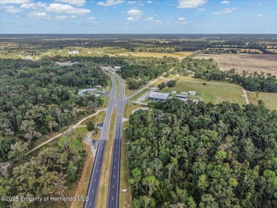 A turnkey business on the very high visibility corner of US 19