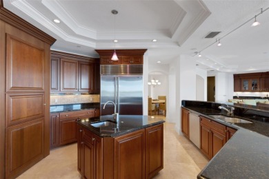 Breathtaking Panoramic Views in La Bellasara - Sarasota Bayfront