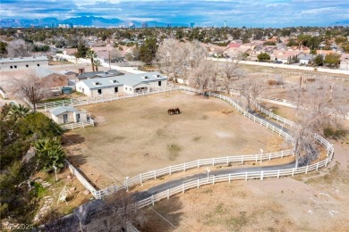 Calling all Las Vegas horse lovers! This is your chance to own