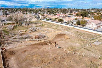 Calling all Las Vegas horse lovers! This is your chance to own