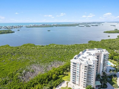 Rising high above Estero Bay, this 7th floor sky home at Bayview