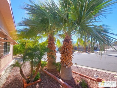 Hidden away behind a screen of fruit and palm trees that has