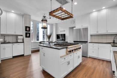 Luxurious, updated 10th floor coop on East Lake Shore Drive