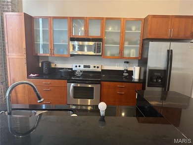 Experience St. Louis History at The Meridian Lofts!
This stylish