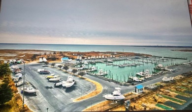 NEW CONTSRUCTION starting this Summer ! The VIEWS will take your