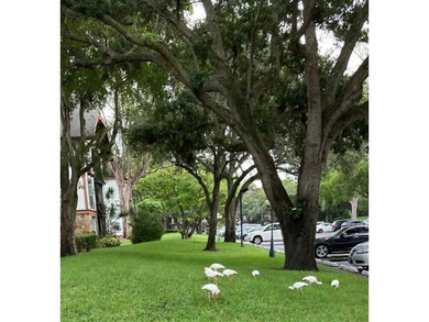 BEAUTIFUL 2BR/2BA CORNER UNIT IN MOVE-IN CONDITION, FEATURING AN