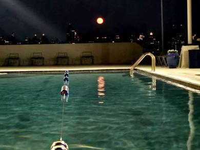 Long-term value meets luxury living(see the Versailles 2024