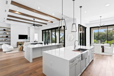 Welcome to this extraordinary newly constructed modern