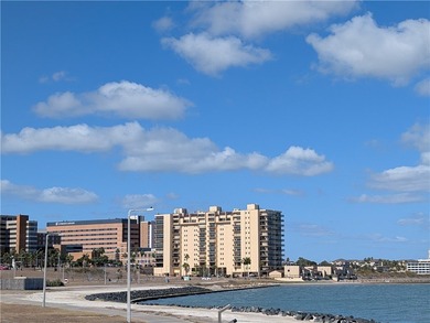 Discover waterfront living at Marina del Sol with Unit 1002C at