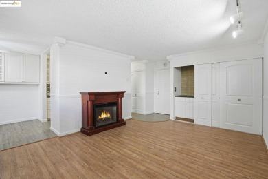 Experience the best of Bay Area living in this delightful