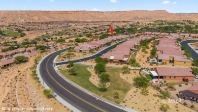 Welcome to 1221 Tortoise Ridge, a stunning single-story home at