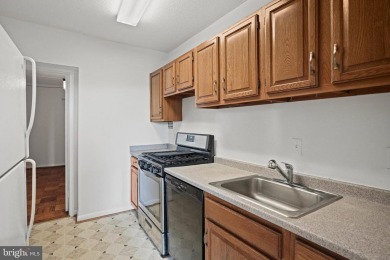 ALL UTILITIES INCLUDED Live in Style at the Center of It All -