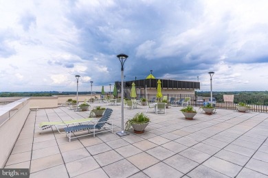 ALL UTILITIES INCLUDED Live in Style at the Center of It All -