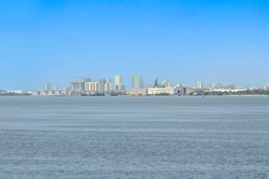 Stunning Venetian Isles new construction waterfront luxury