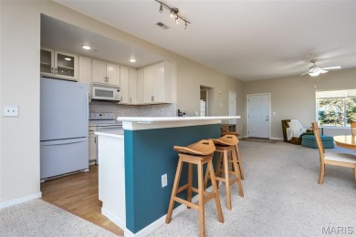 ENJOY the VIEW!!!!! High above the confluence of the Mississippi