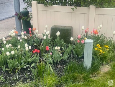 Assumable 2.25 % FHA loan with a current balance of $372,000